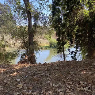 River