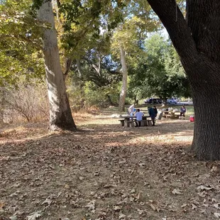 Picking tables