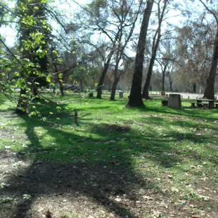 late Feb 2014