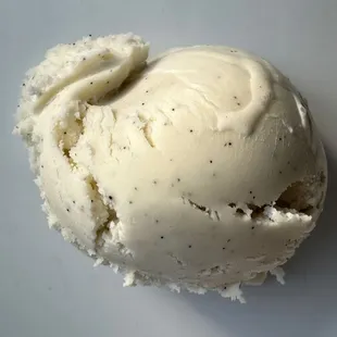 Vanilla Bean