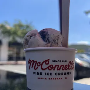 Single scoop