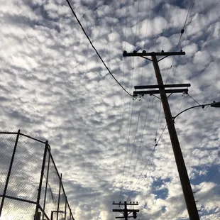 telephone poles and wires