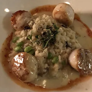 Miso Seared Scallops