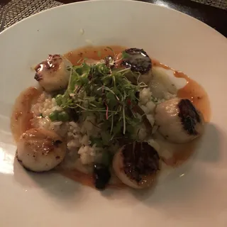Seared Sea Scallops