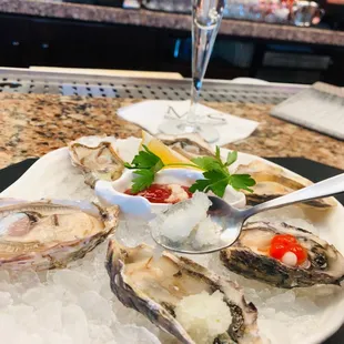 oysters, mussels, oysters and mussels, shellfish, food