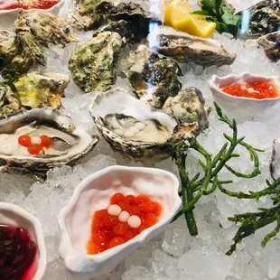 shellfish, mussels, oysters, oysters and mussels, food