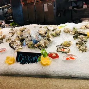 oysters and mussels, food, mussels, oysters, shellfish