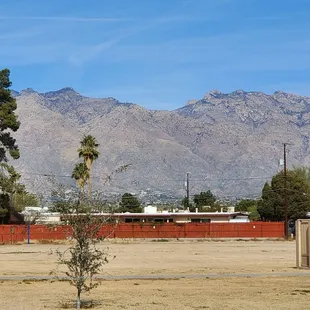 View from Mccormick park