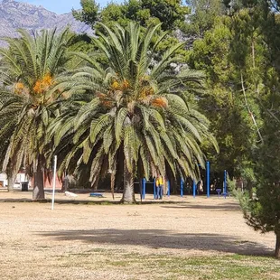 So beautiful at Mccormick park