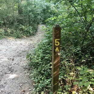 Well marked trail