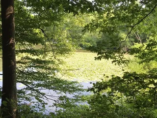 Laura Hare Preserve at Blossom Hollow