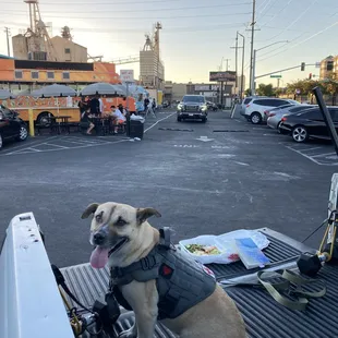 I would trust these folks with my dog, Dame. 
 Thanks Shawn, hope you folks enjoyed the Mr. Ts doughnuts.