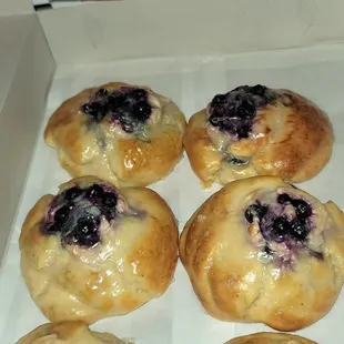 Half dozen Blueberry creme SCONES are AMAZING!!