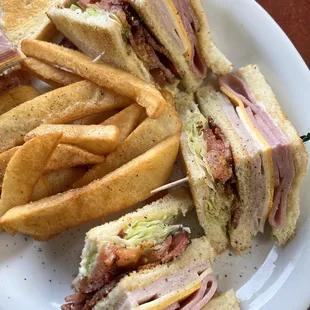 Huge Club Sammich