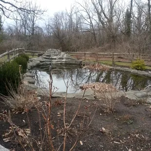 Fish pond