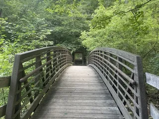 Sycamore Park