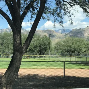 Inside the park, September 2022