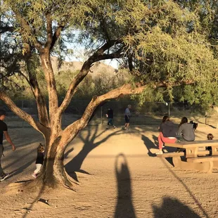 Dog park is big!