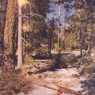 Nice picture on wall.