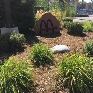 sushi and sashimi, outside