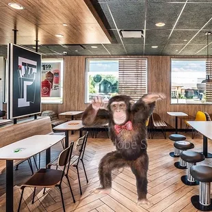 a dog jumping in the air