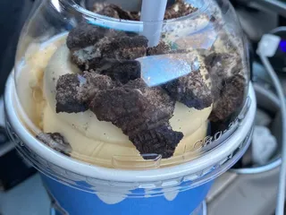 Fosters Freeze