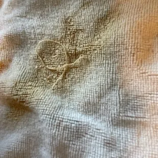 The bits and pieces of string I spit out from my iced coffee.