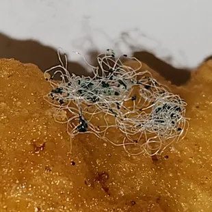 up close and personal with so called Mr lint. what do you see...gross gross gross!