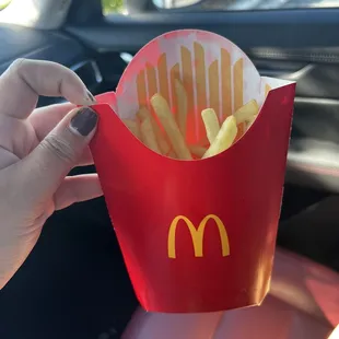TERRIBLE &quot;large&quot; fries
