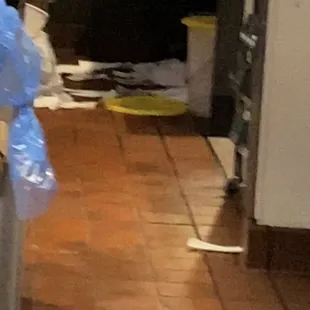 Looking in the drive thru window