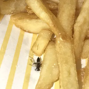 this is what i found in my french fries
