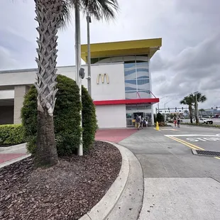 a palm tree in front of a mcdonald's
