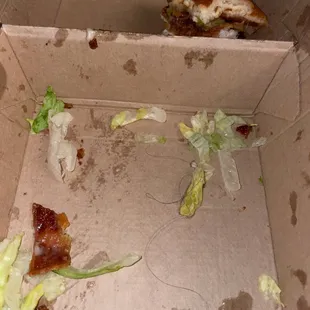 A HAIR IN MY SANDWICH BOX