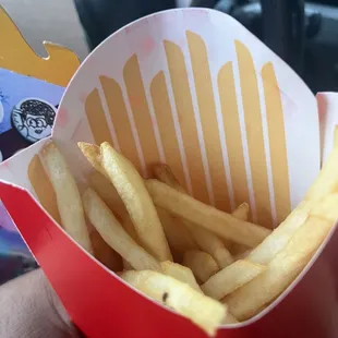 This is my fries when I checked the box, I thought it would probably fell out but no. Disappointed
