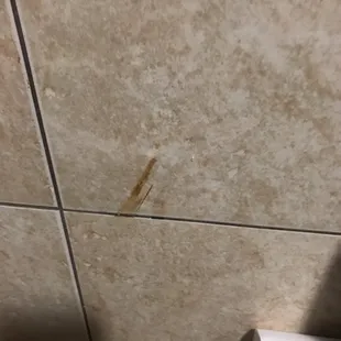 Walls have shit