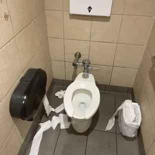 a toilet with toilet paper on the floor