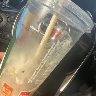 Fly in Iced Caramel Latte