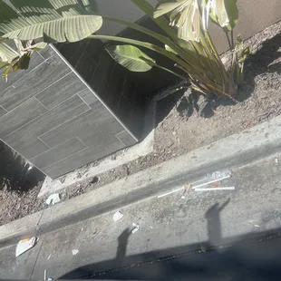 Why is it so dirty?