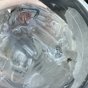 the inside of an ice bucket