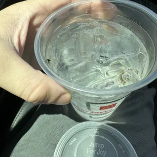 Fly in my just opened McDonald&apos;s drink lol....