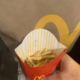 a hand holding a container of french fries