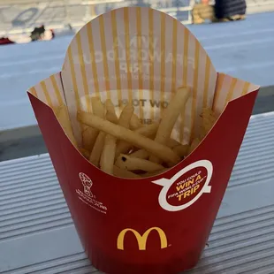 french fries in a paper container
