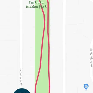 Monday morning walk enjoying all the pups in the park