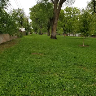 Walking in the rain with my duckie