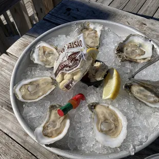 Arrowhead oysters from the raw bar