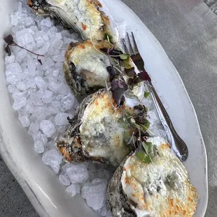 Tavern oysters