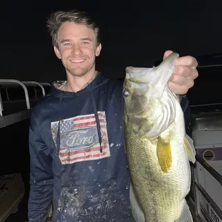 Dalton B.