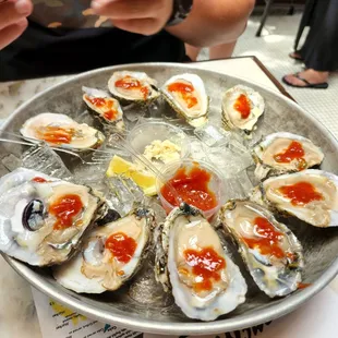 Oysters
