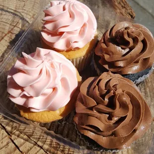 Pair of Pink Champagne and Chocolate cupcakes (4/21/21)