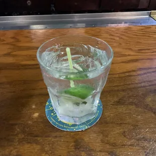Gin &amp; Tonic